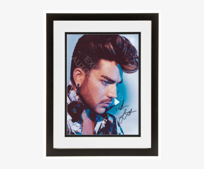 Adam Lambert, transparent png download