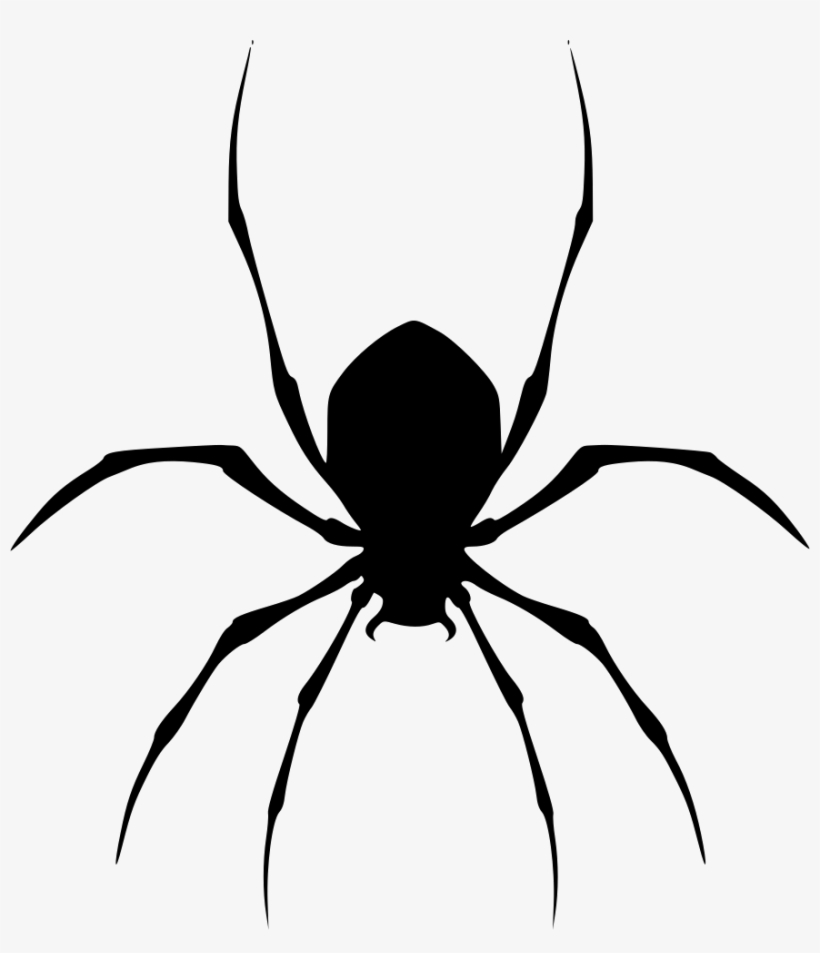 Png File - Free Spider Clipart, transparent png download