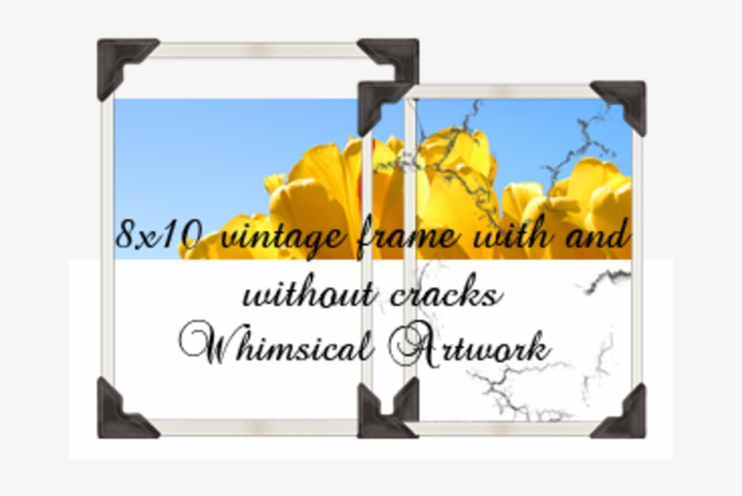 Forma De Photoshop De La Estructura De La Vendimia - Banner, transparent png download