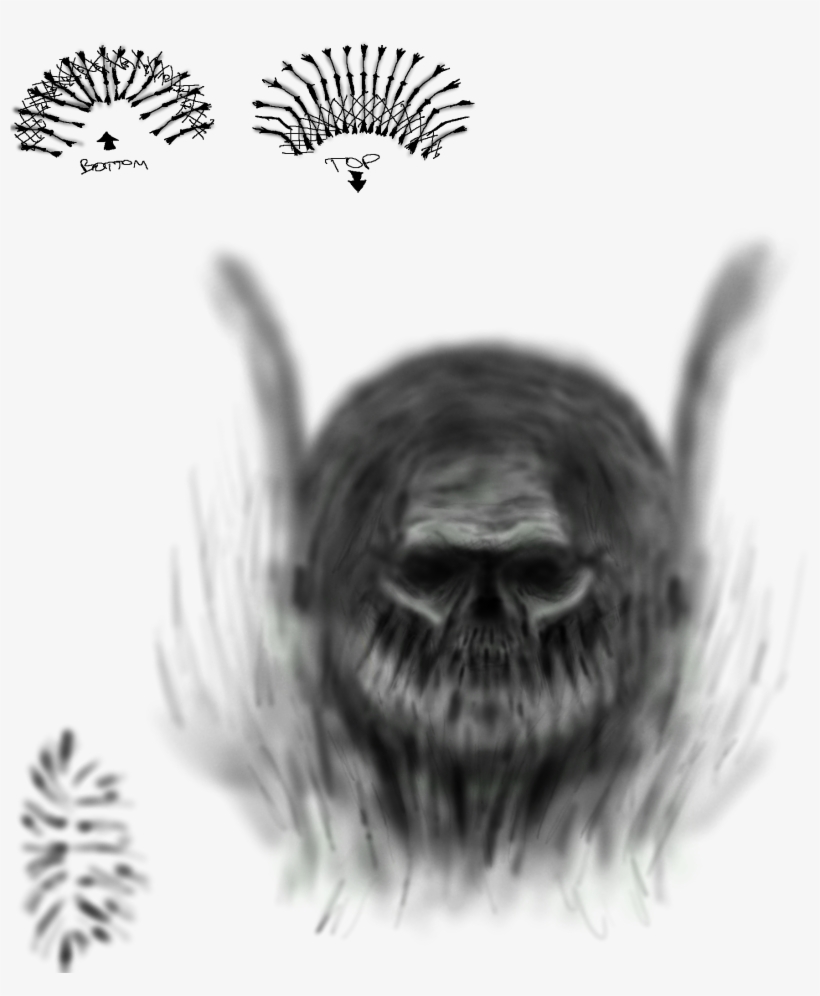 Click Here To Download - House Fly, transparent png download