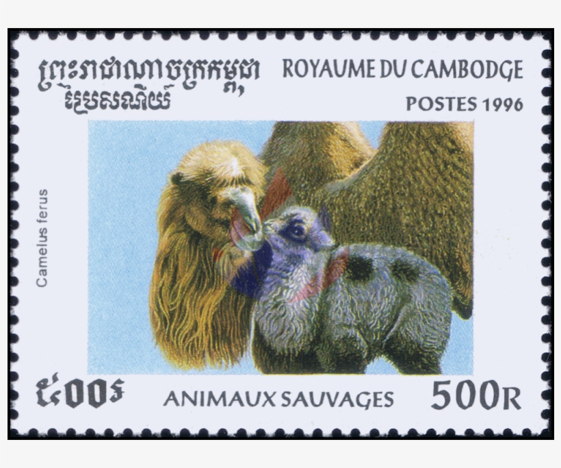 Forest Animals And Her Babies - Bactrian Camel, transparent png download
