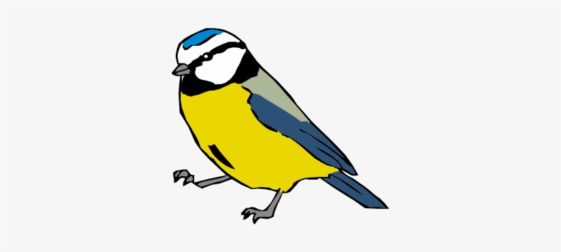 Forest Animals Forest Animals - Forest, transparent png download