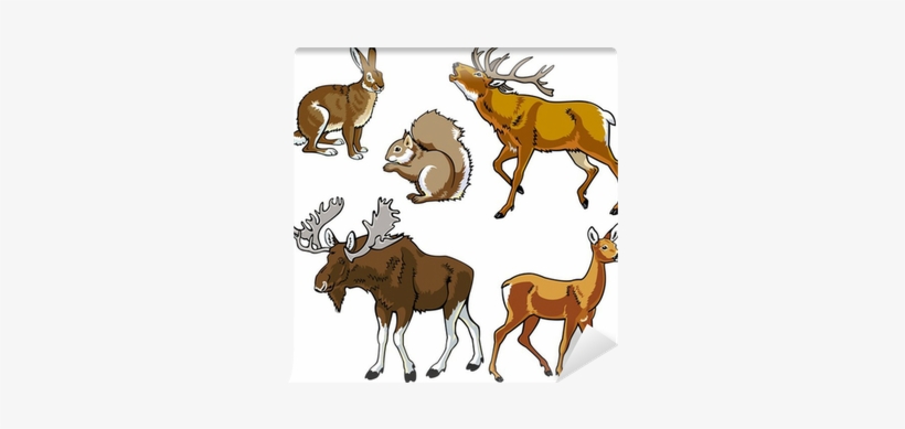 Herbivore Animals In Aforest, transparent png download