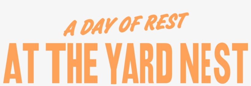 Best Bars Northern Quarter - Graphics, transparent png download