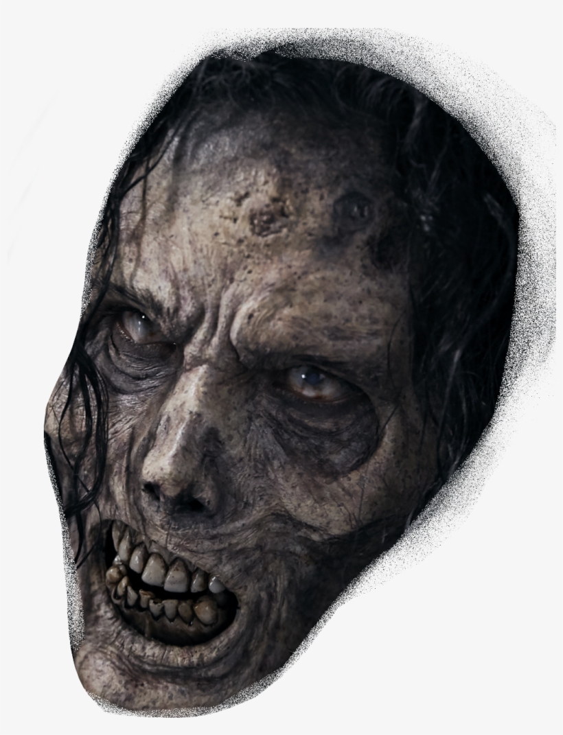 Report Abuse - Head, transparent png download