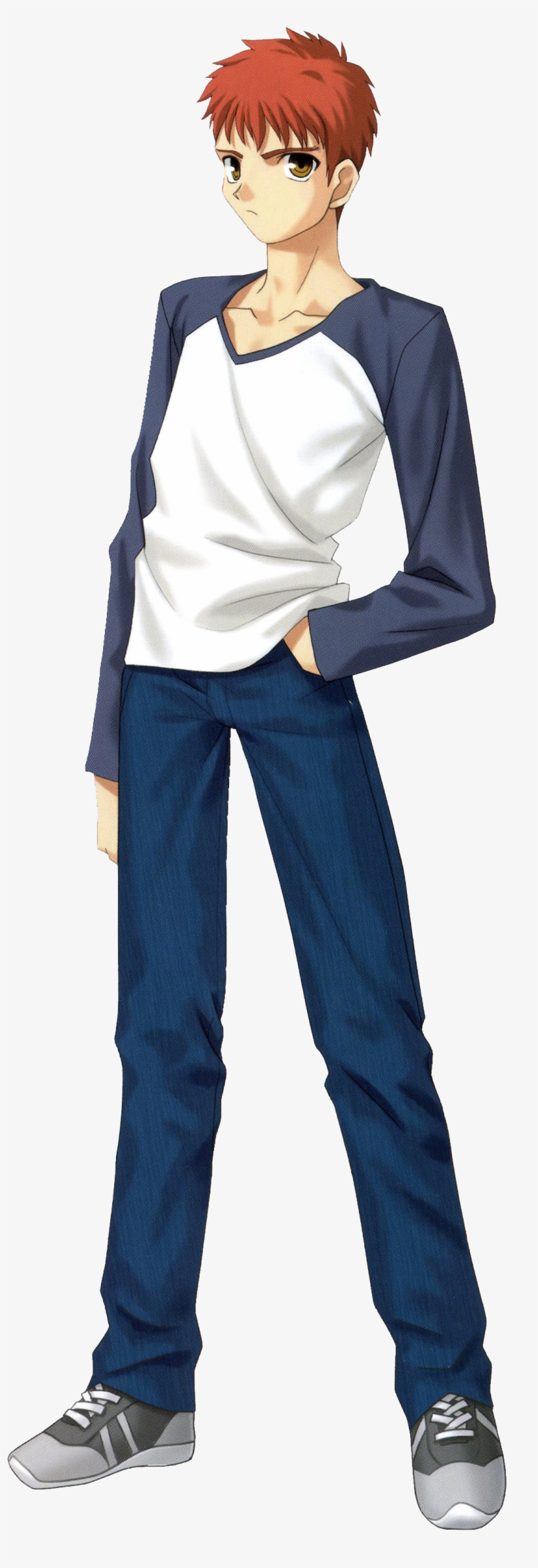 Rate The Character Day - Fate/stay Night Shirou Emiya T-shirt Cosplay Costume, transparent png download