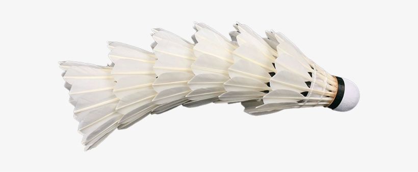 Wholesale Dna Flypower Badminton Shuttlecock - Badminton, transparent png download