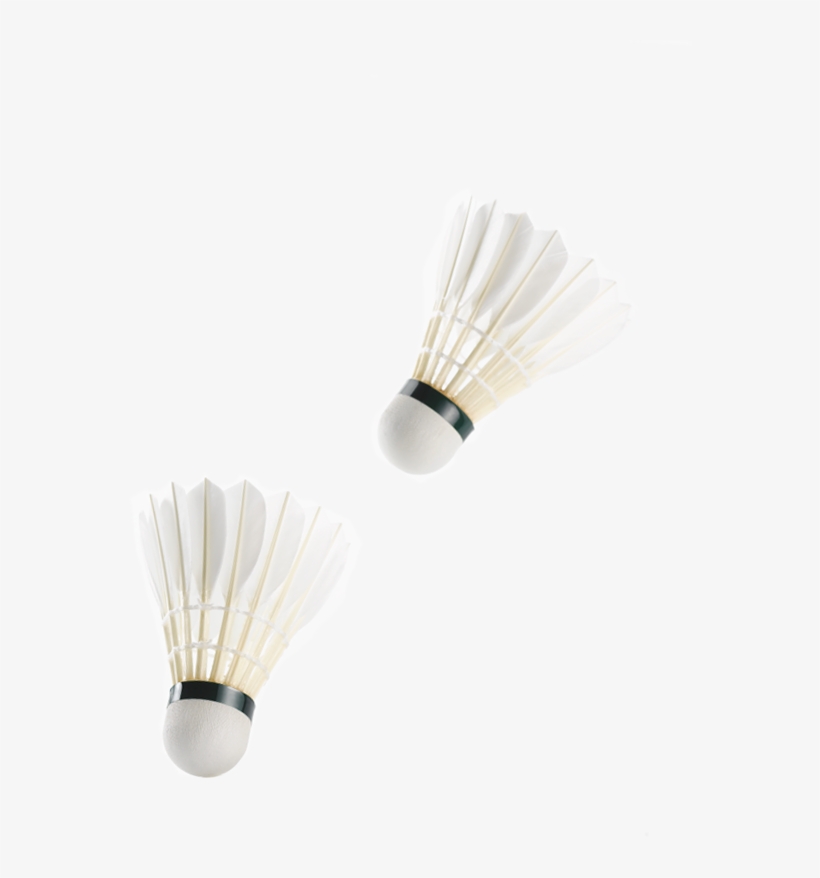 Crafted With Exacting Detail And To The Strictest Criteria, - Iphone, transparent png download