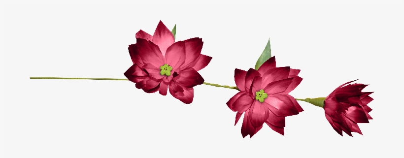 Volver - Lazos Y Cintas Png, transparent png download