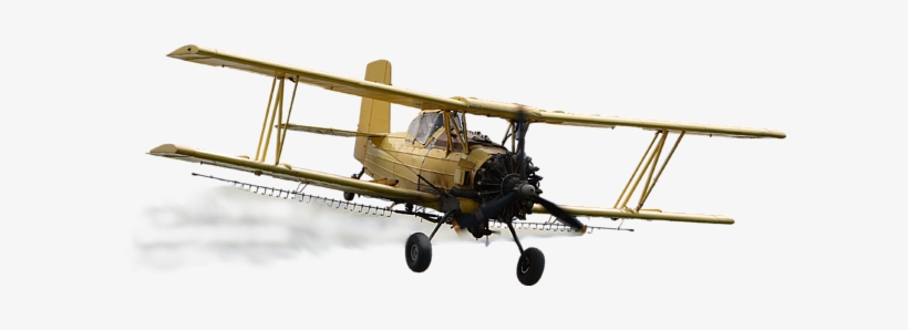 Bleed Area May Not Be Visible - Jpeg, transparent png download