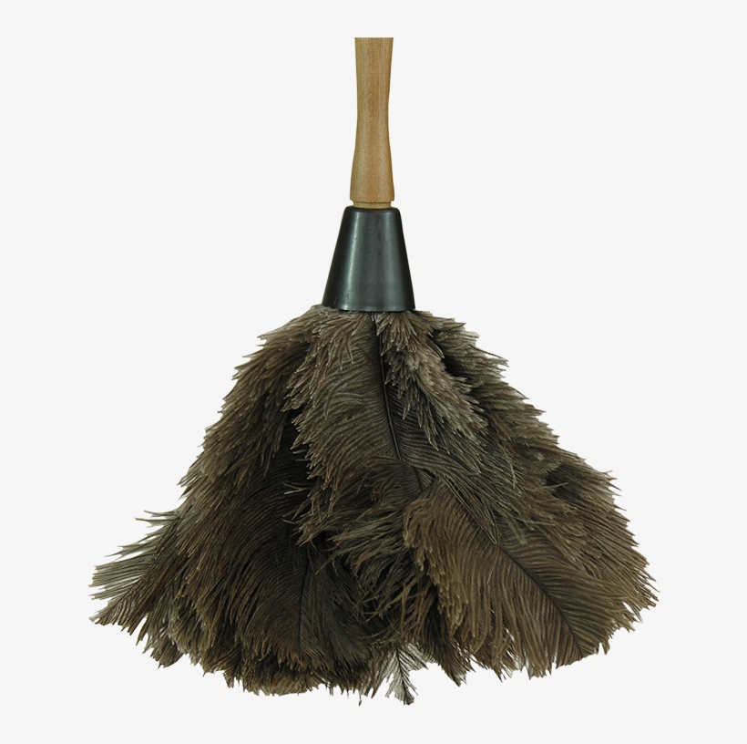 Ostrich Feather Dusters - Ostrich Feathers Products, transparent png download