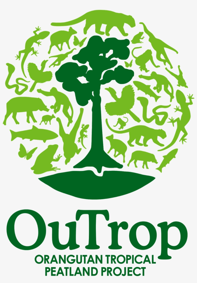 Serta Menghasilkan Banyak Penemuan Penting Dan Mendukung - Logo Borneo Nature Foundation, transparent png download