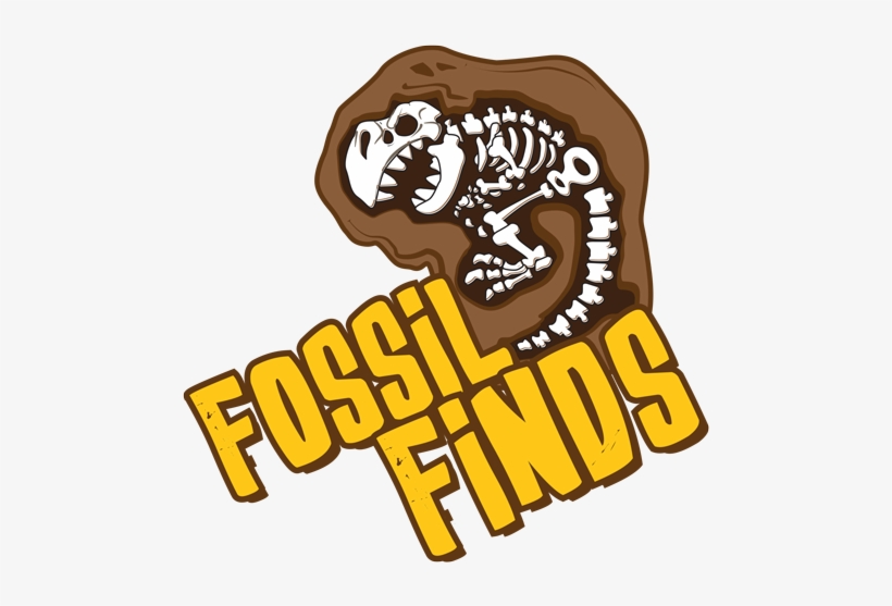 Stegosaurus, Triceratops, Maybe A T - Portable Network Graphics, transparent png download