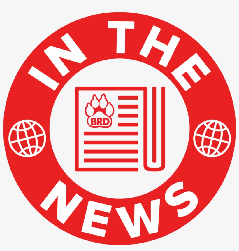 Keep Up With Big Red Dog - Arctic Circle, transparent png download