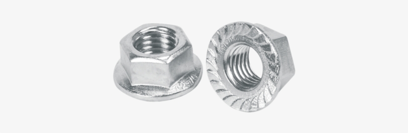 S Flange Nut - Ss Nuts, transparent png download