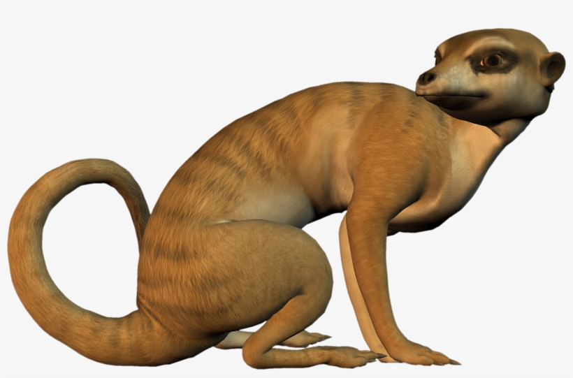 Meerkat Clipart - Meerkat Clip Art, transparent png download