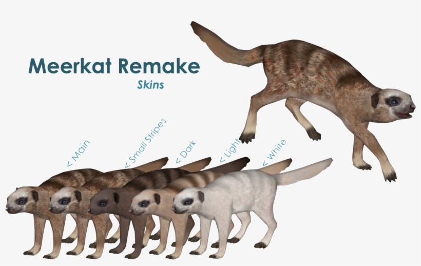 Meerkat Variants - Meerkat Zt2, transparent png download