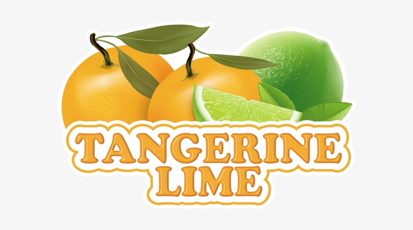 Tangerine Lime Web - Tangerine, transparent png download