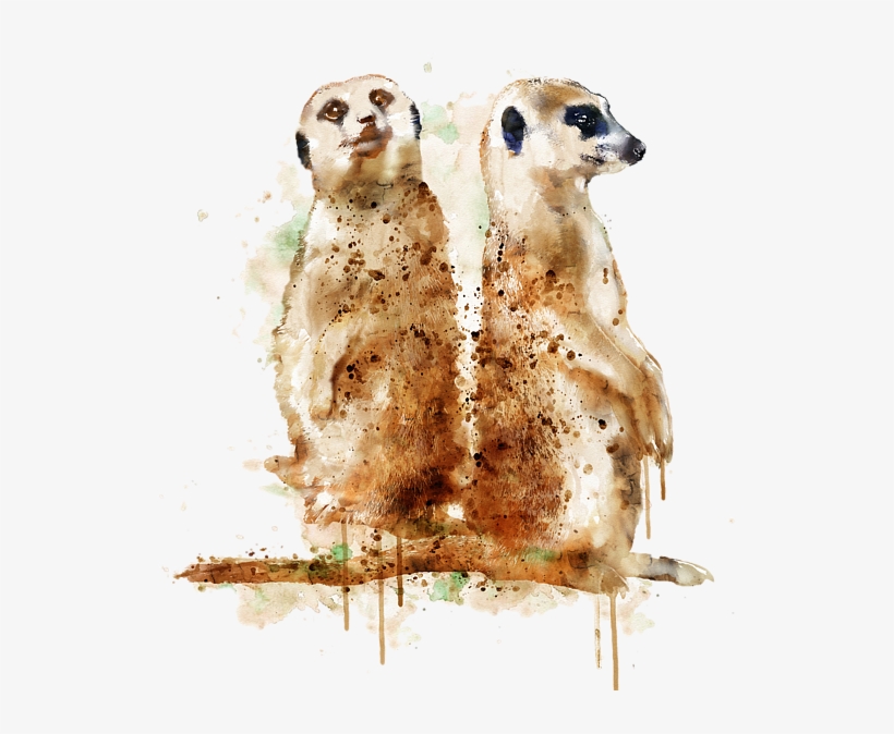 Bleed Area May Not Be Visible - Meerkat Painting, transparent png download
