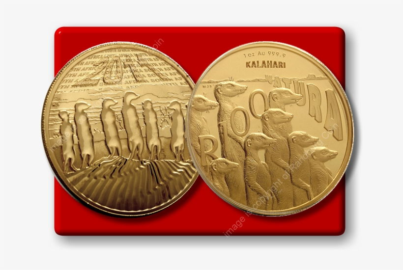 2011 Gold Proof Meerkat Natura Launch Set R100 1oz - Meerkat Gold, transparent png download