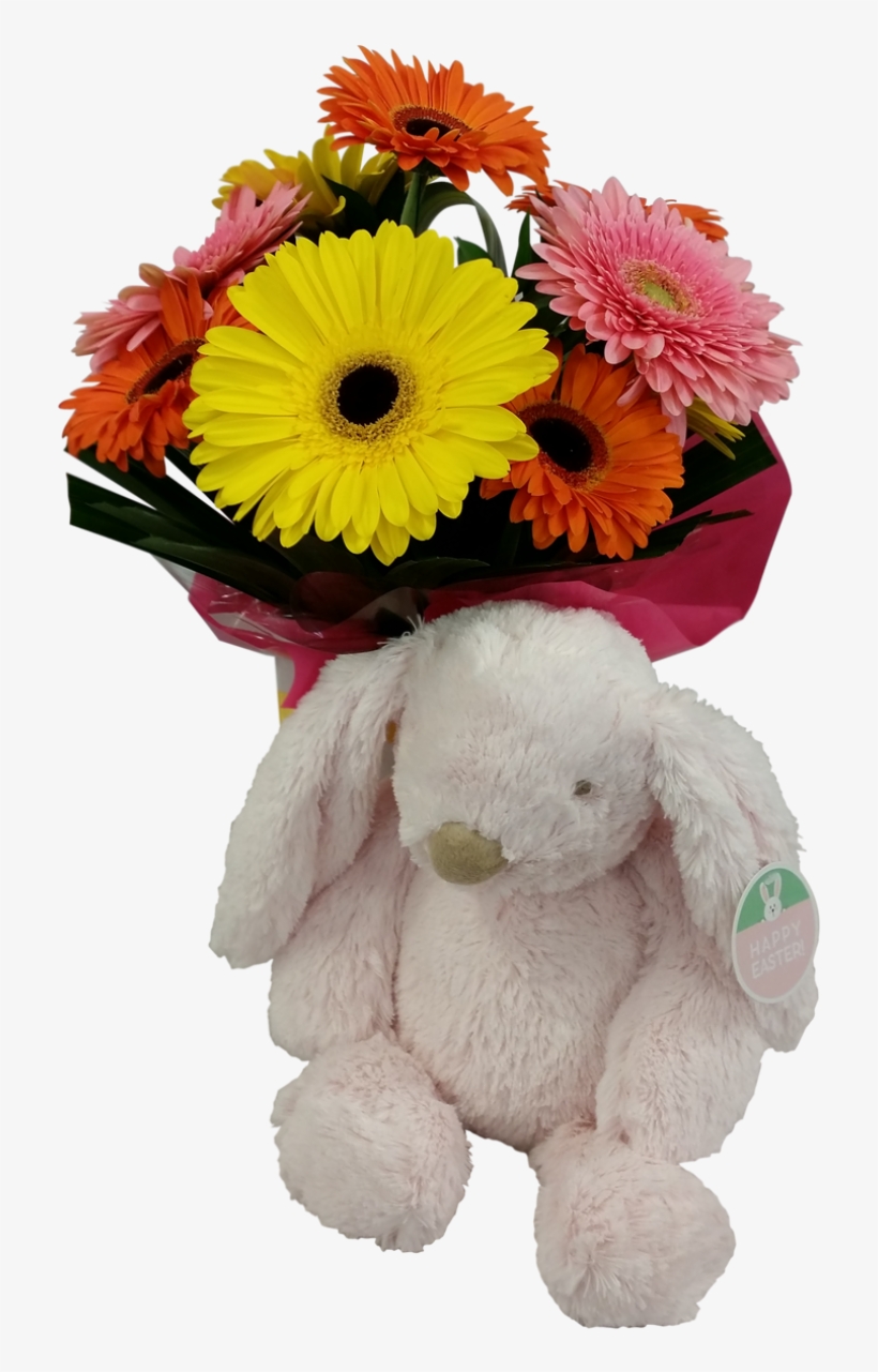 Easter Flowers & Soft Bunny - Barberton Daisy, transparent png download