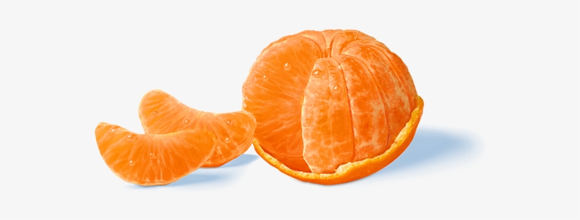 Products - Moodboard Filler, transparent png download