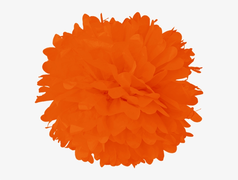 Tangerine Tissue Pom Poms - Turquoise Blue 15 Inch Tissue Paper Flower Pom-pom, transparent png download