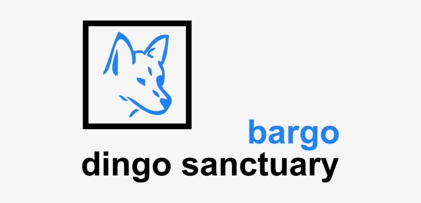 Dingo Sanctuary Bargo - Toshiba Logo White Png, transparent png download