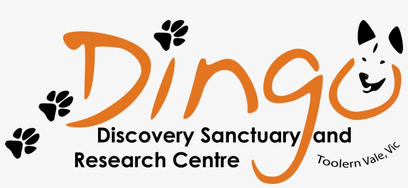 Dingo Discovery And Research Centre - Dingo, transparent png download
