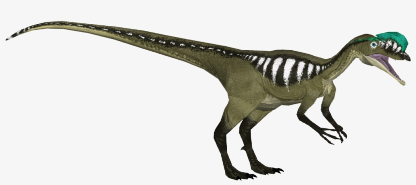 Dilophosaurus - Zt2 Download Library Wiki Dinosaurs, transparent png download