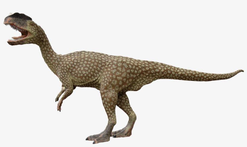 Dilophosaur - Dinosaurs Png Moab Giants, transparent png download