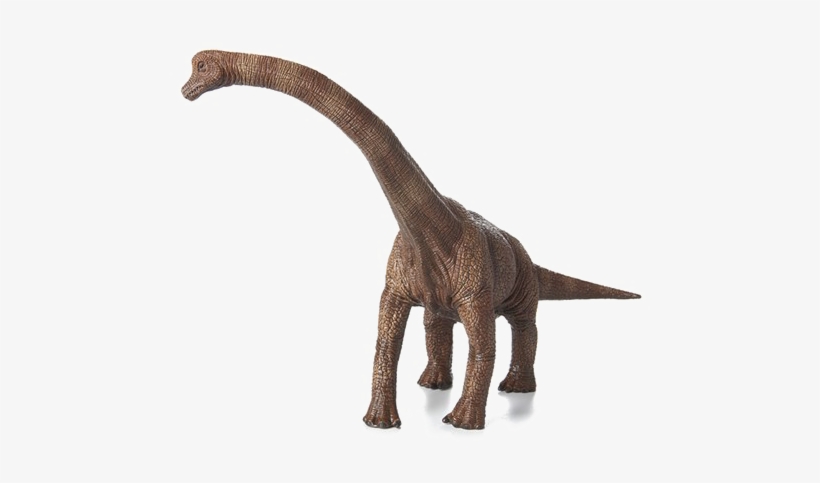 Brachiosaurus Png Photos - Schleich 14515 Brachiosaurus, transparent png download