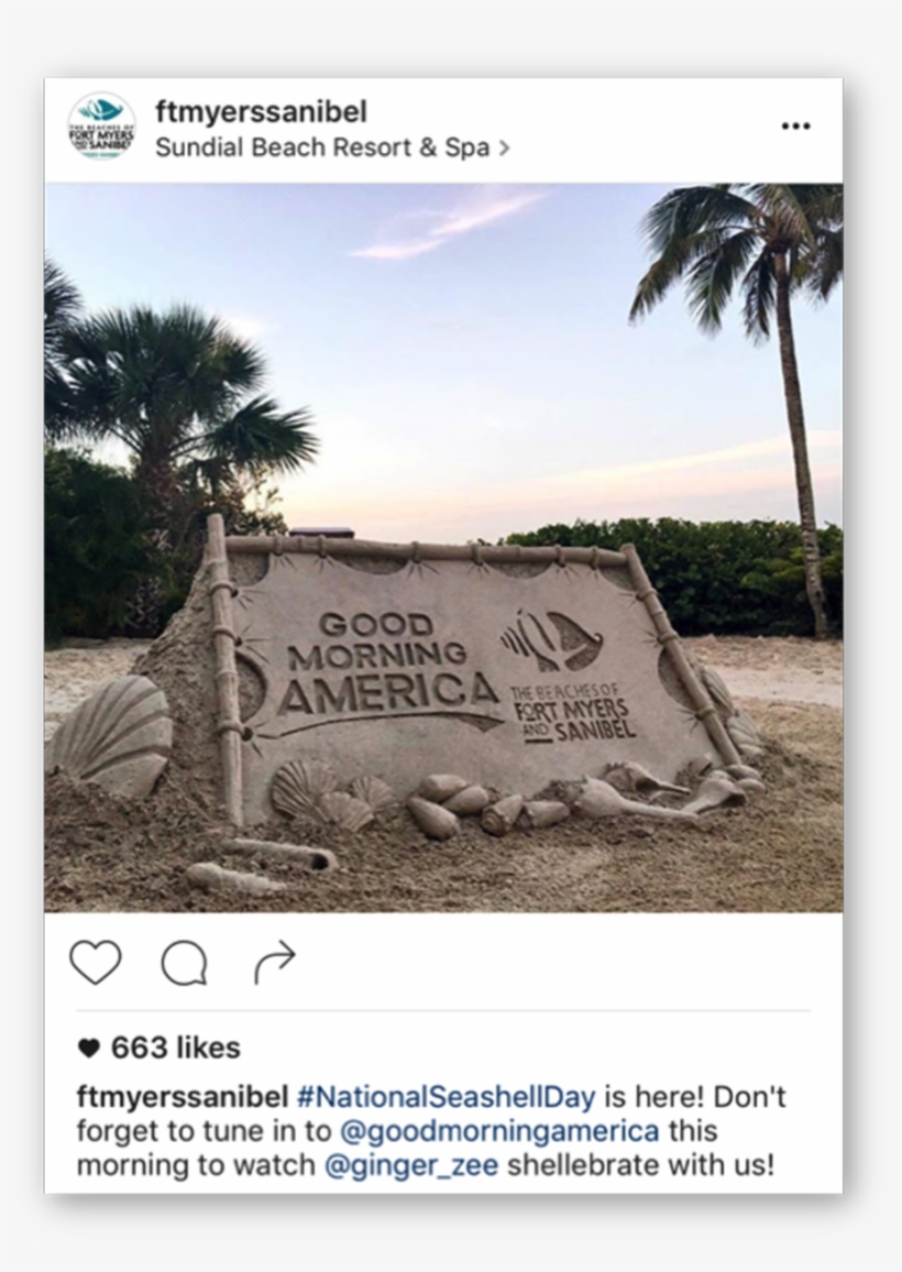 Twitter Promo Tweet - Twitter, transparent png download