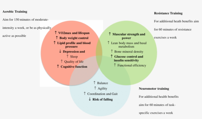 General Recommendations And Complementary Health Benefits - Health, transparent png download