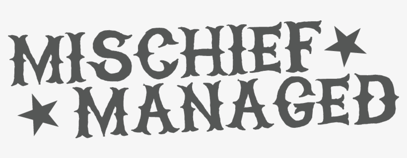 Harry Potter Decals - Zippo Playboy Bunny Thrills Pocket Lighter, Brushed, transparent png download