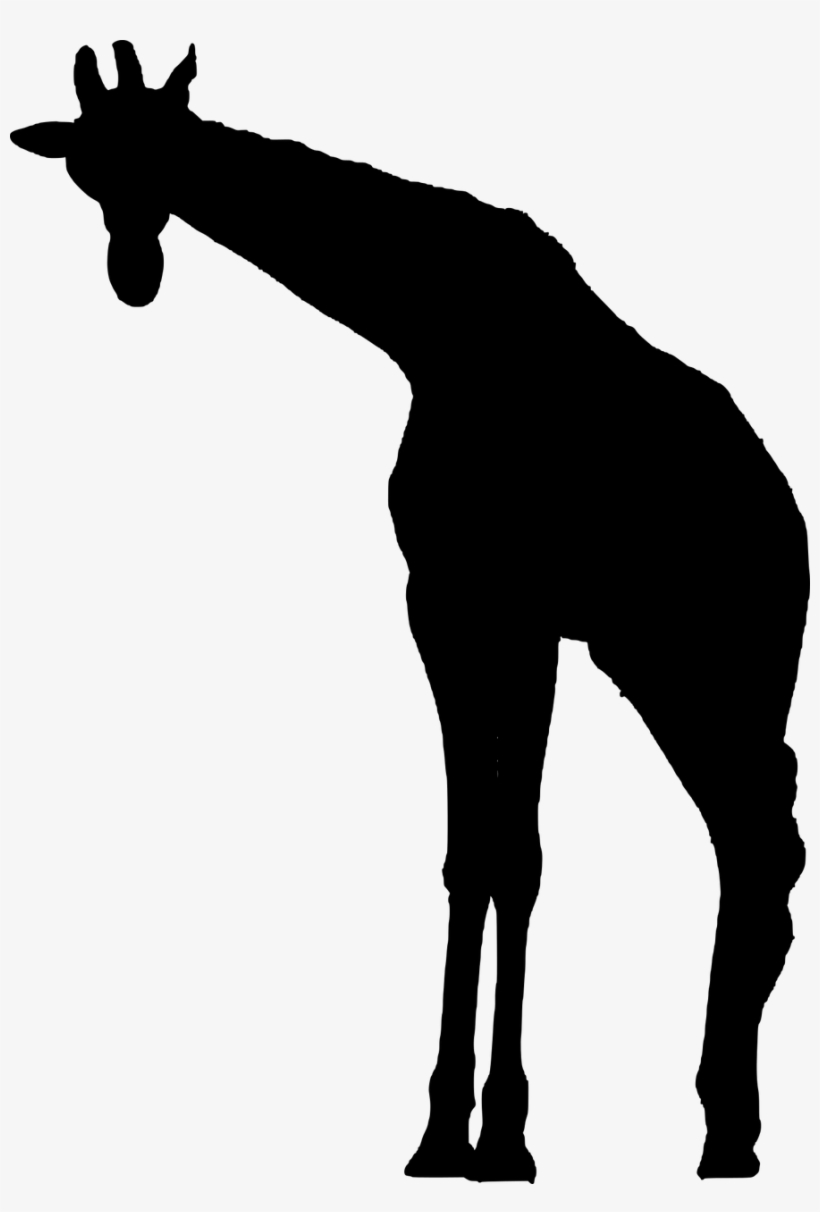 Vector Graphics,free Pictures - Giraffe Silhouette, transparent png download
