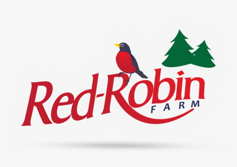 Red Robin Farm Png Logo - Christmas Tree, transparent png download