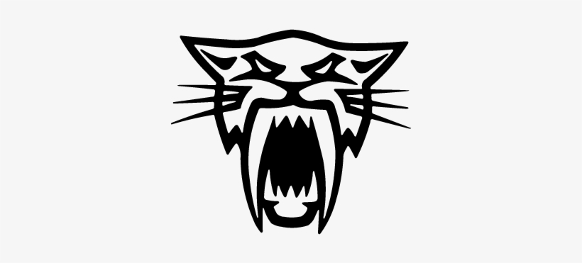 Arctic Cat Decal, transparent png download