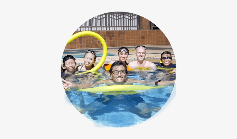 Adult - Happy Fish Swim School Jay, transparent png download