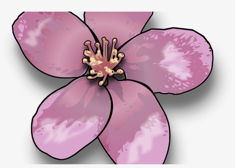 Free Cartoon Cherry Blossom Tree, Download Free Clip - Clip Art, transparent png download