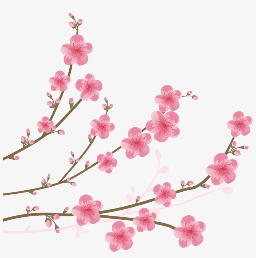 Blossom Clip Art, transparent png download