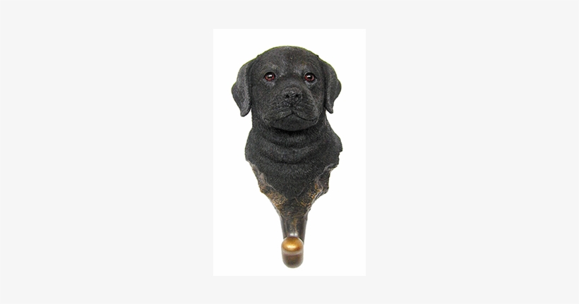 Black Lab Puppy Hook - Labrador Retriever, transparent png download
