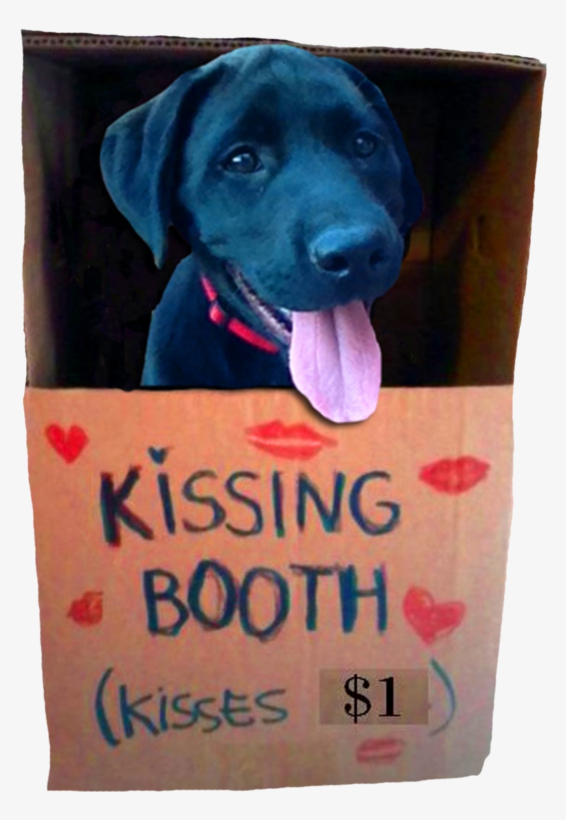 Chunk Kissing Booth, Black Lab Puppy - Halloween Dog Costumes Home Made, transparent png download