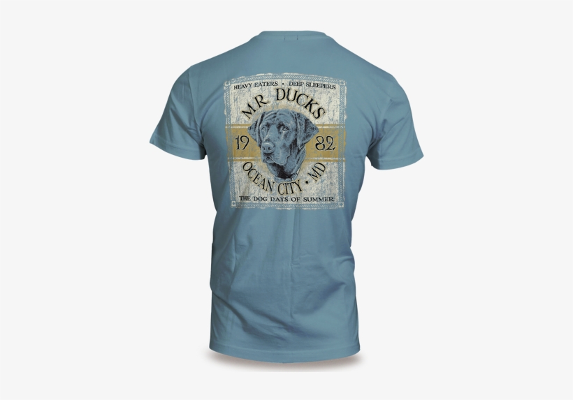 Image - Schitt Creek Paddle T Shirt, transparent png download