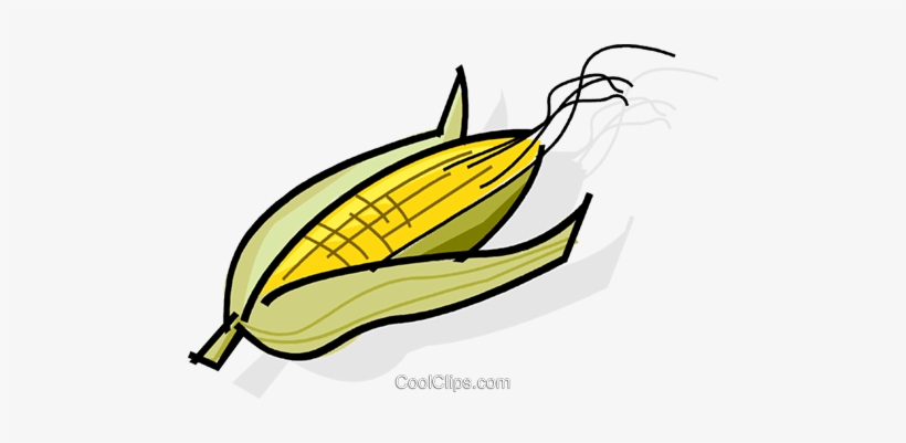 Espigas De Milho Livre De Direitos Vetores Clip Art - Clip Art, transparent png download