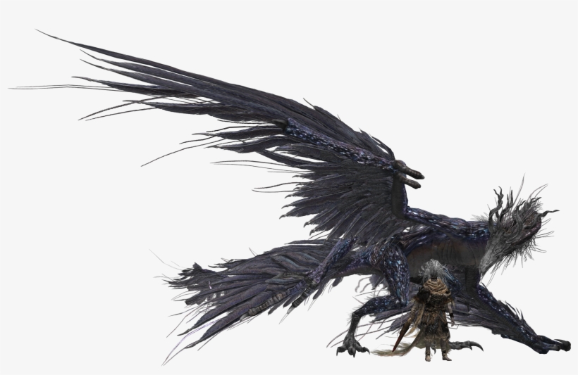 Dark Souls Clipart Wyvern - Nameless King Storm Drake, transparent png download