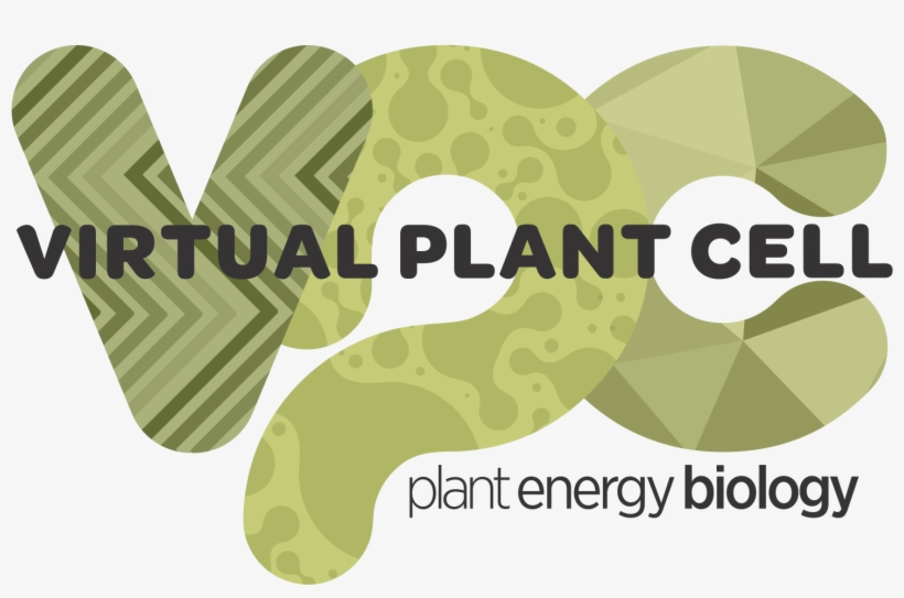Virtual Plant Cell Is Peb's Expanding Suite Of Educational - Graphic Design, transparent png download