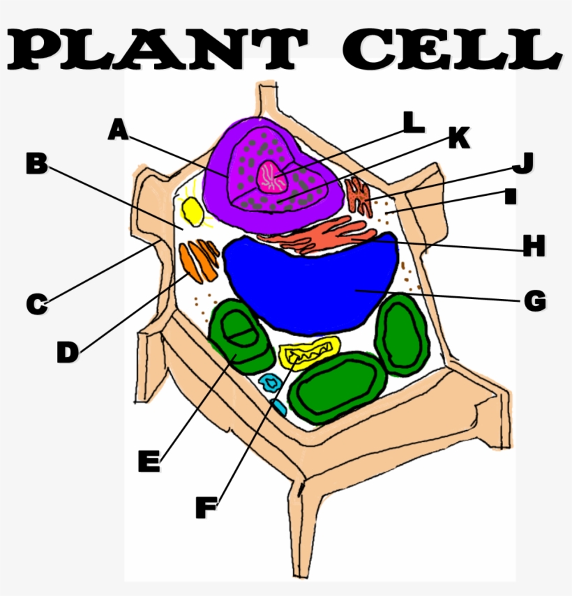 Knowledge, transparent png download