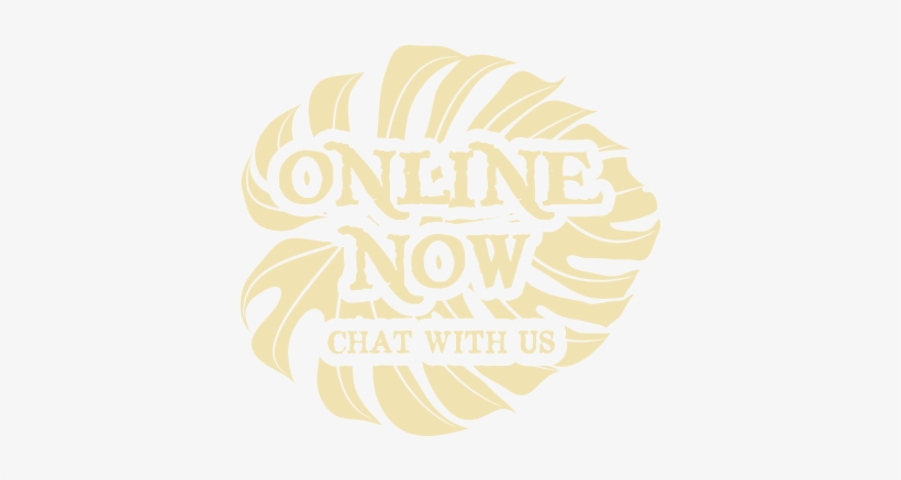 Have Questions Live Chat - Livechat, transparent png download