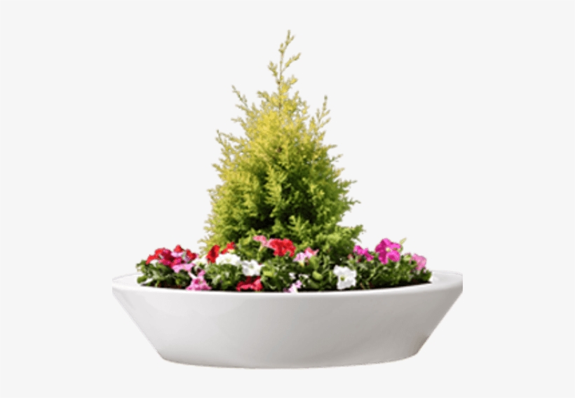 Fiber Glass Planters - Glass, transparent png download